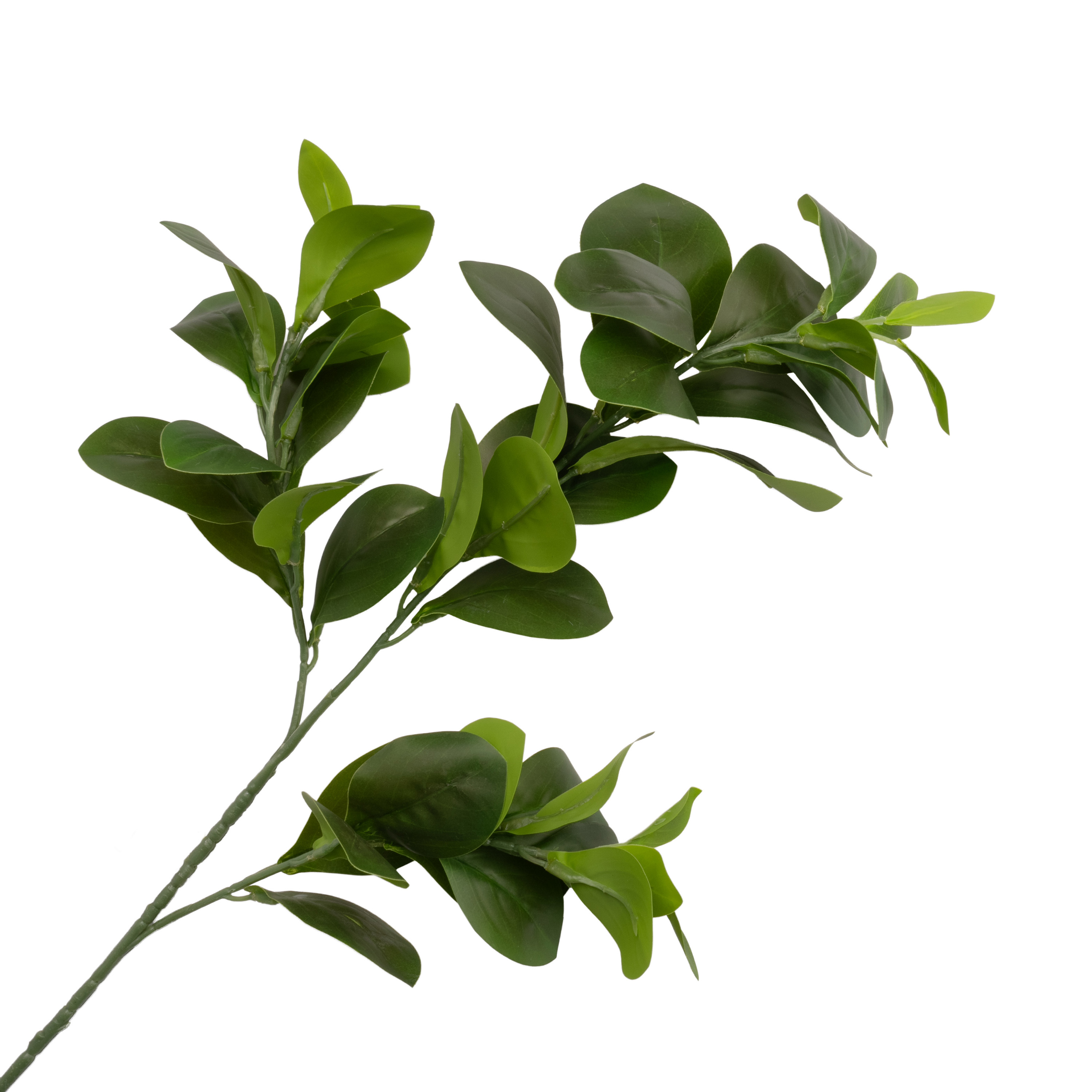 Artificial ruscus